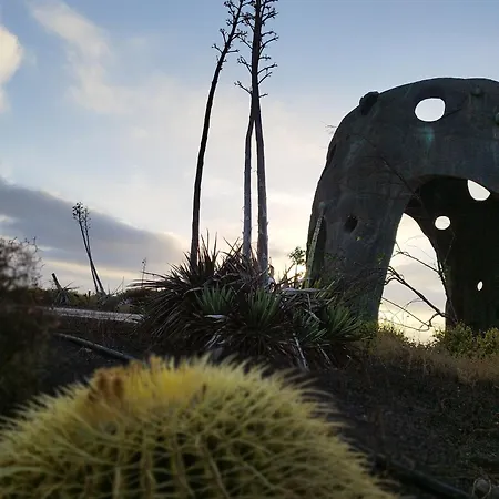 Lugar Del Alma