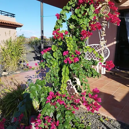 Lugar Del Alma Holiday home La Oliva